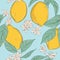 Lemon background. Vector hand-drawn fruit pattern with flowers and leaves. Organic botanical pattern. Juice nature minimalistic