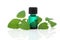 Lemon Balm Herb Essence