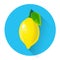 Lemon Colorful Fruit Icon