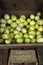 Lemon Cucumbers Fresh in Wooden Bin at Market for Sale Produce