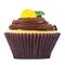 Lemon Cupcake