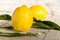 Lemon decorated with a blossoming tree