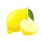 Lemon in digital watercolour style isolated on white background. Juicy hand drawn citrus fruit. Sketchy organic art. Vector