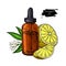 Lemon essential oil bottle and lemon fruit hand drawn vector ill