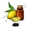 Lemon essential oil bottle and lemon fruit hand drawn vector ill