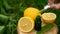 Lemon essential oil in a bottle. Selective focus.