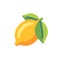 Lemon flat icon. Slot machine symbol
