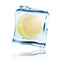 Lemon frozen in ice cube, isolated