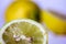 the lemon is a fruit tree belonging to the Rutaceae family. The common name lemon can refer to both the plant and its fruit