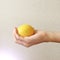 Lemon. The fruit of Yellow Lemon Lies on the Hand