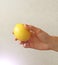 Lemon. The fruit of Yellow Lemon Lies on the Hand