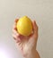 Lemon. The fruit of Yellow Lemon Lies on the Hand