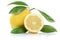 Lemon fruits isolated on white