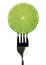 Lemon green on fork isolated