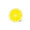 Lemon half cut circle citrus fruit color sketch