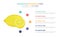 Lemon infographic template concept with five points list and various color with clean modern white background - vector