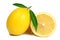 Lemon isolated