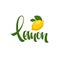 Lemon lettering composition for your citrus juice logo, label, e