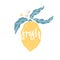 Lemon lettering inscribed in silhouette. Vector hand drawn citrus fruit with leaves and flowers. Cartoon doodle