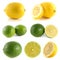 Lemon, lime collection on white