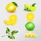 Lemon Lime Realistic Set Transparent