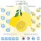 Lemon nutrition facts and health benefits infographic