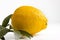 Lemon piece and leaves on white table and isolated background