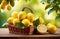 lemon plantation, fresh yellow ripe lemons on branches, lemon garden background,