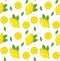 Lemon seamless pattern. Lemonade endless background, texture. Fruits . Vector illustration.
