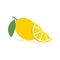 Lemon slice citrus fruit flat icon. Vector lemon half cut logo, yellow simple illustration