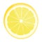 Lemon slice. Citrus fruit. Isolated on white. Vector illustration