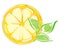 Lemon slice with leaves. artistic illustration