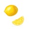 Lemon Slice and whole. Vector color flat engraving