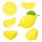 Lemon slices. Citrus fruit slice, juicy yellow lemons, sliced fresh lemons, vitamin c vegetarian ripe citrus fruits