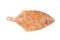 Lemon sole