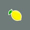Lemon Sticker fruit icon label with shadow, Vector isolated illustration