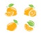 Lemon symbol set. Fresh fruits vector illustration