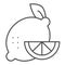 Lemon thin line icon. Sour fruit vector illustration isolated on white. Vitamins outline style design, designed for web