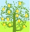 Lemon tree