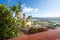 Lemon tree at Abades Viewpoint - Arcos de la Frontera, Cadiz, Spain