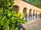 Lemon tree with Arabic Arches Architecture