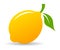 Lemon vector icon