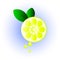 Lemon vector icon, lime, citrus