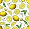 Lemon vector seamless pattern drawing. Summer citrus fruit print