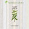 Lemon verbena, essential oil label, aromatic plant