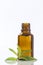 Lemon vervain , verbena essential oil naturopathy