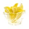 Lemon wedges in dish