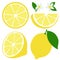 Lemon on white background. Whole and sliced lemon fruit, lemon flowers and leaves. Vector illustration