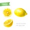 Lemon whole and sliced isolated watercolor illustration