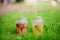 Lemonade with berries grape kiwi orange basil lime on green grass summer spring cafe restaurant daylight street light bokeh